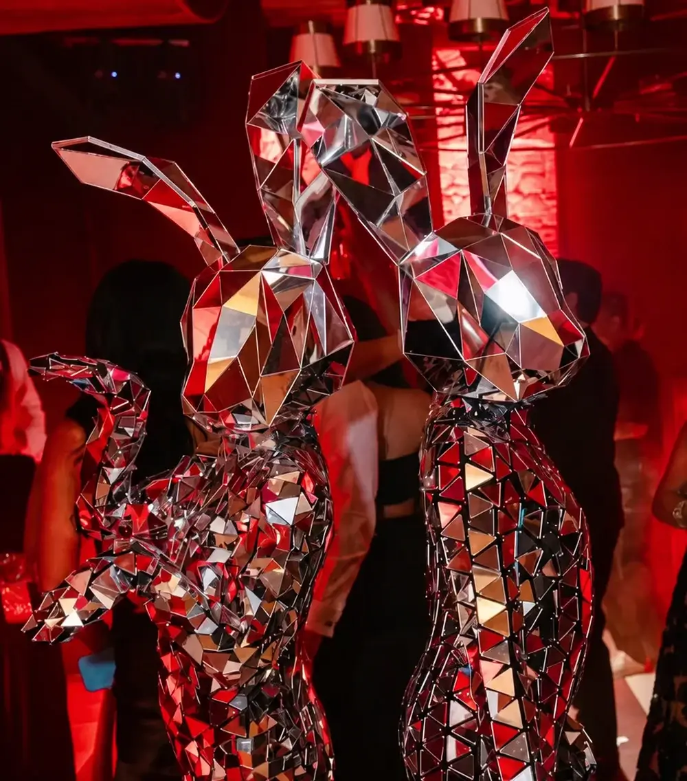 Mirror bunnies by VProject Entertainment